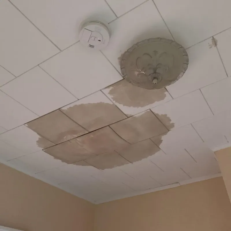 Ceiling Water Damage Repair in Peoria County, IL