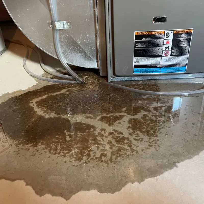 Pipe Burst and Leak Restoration in Peoria County, IL
