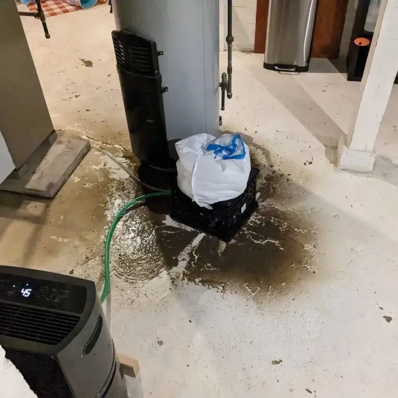 Sewage Backup Cleanup Service in Peoria County, IL